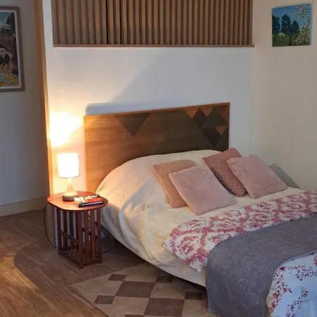 Appartement Promo Dernieres Disponibilites 50 M Des Cures Grand Studio Audrey Renove Avec Gout Parking Wifi *