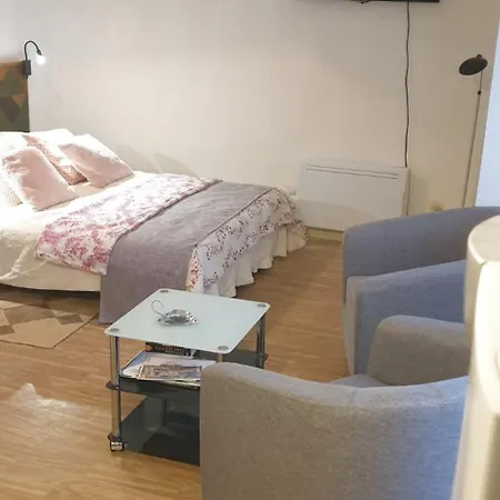 Joli studio Audrey 50m des cures libre 25 juillet au 2 août promo dernières disponibilités