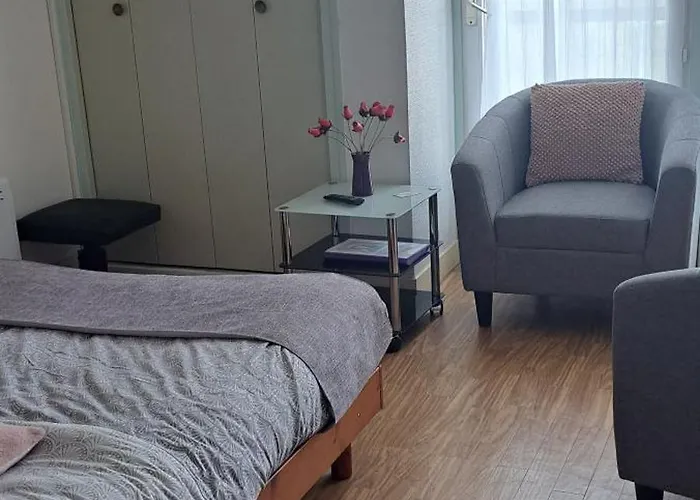 公寓 A Cote Des Cures Grand Audrey Ideal Renove Avec Gout Parking Wifi Dernieres Disponibilites Aout Et Des Le 4 Novembre *